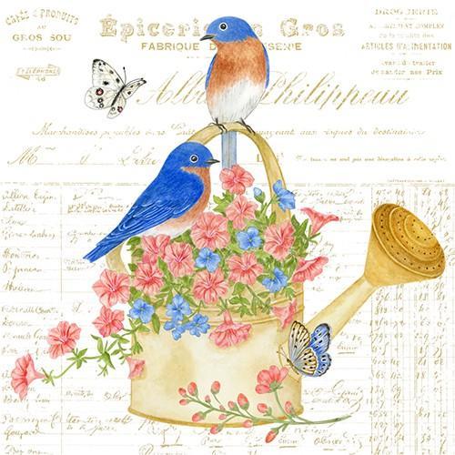Flour Sack Towel Set | Bluebirds & Watering Can Flour Sack Towel Set | Bluebirds & Watering Can