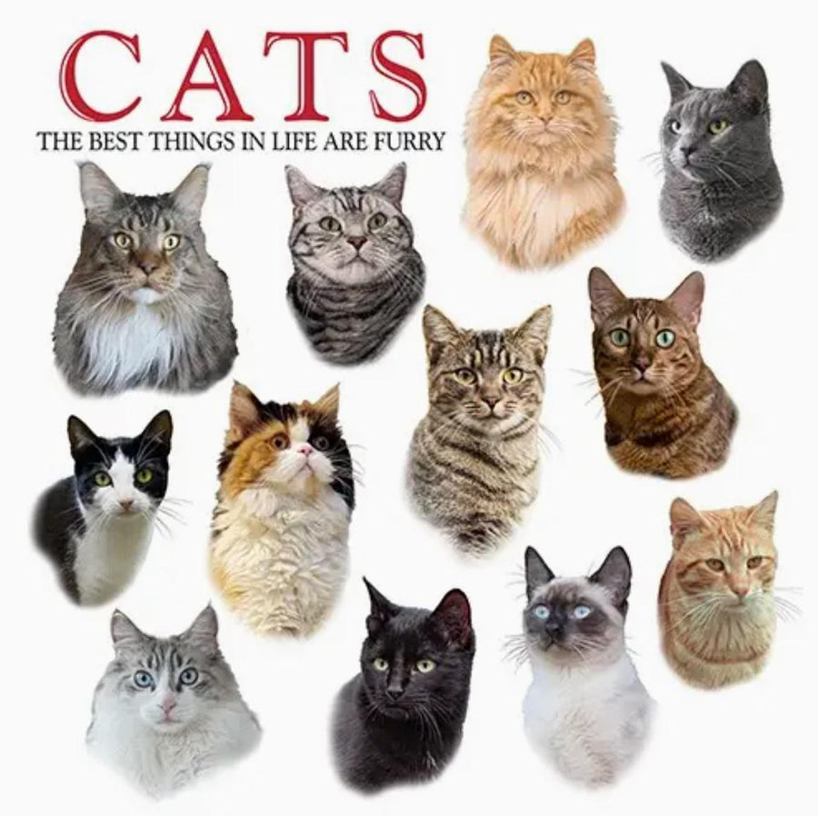 Flour Sack Towel Set | Cats Flour Sack Towel Set | Cats