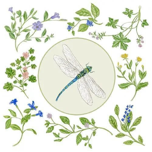 Flour Sack Towel Set | Dragon Fly Flour Sack Towel Set | Dragon Fly