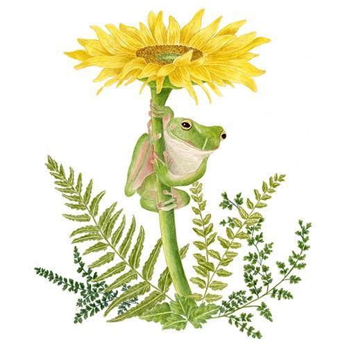 Flour Sack Towel Set | Frog Flour Sack Towel Set | Frog