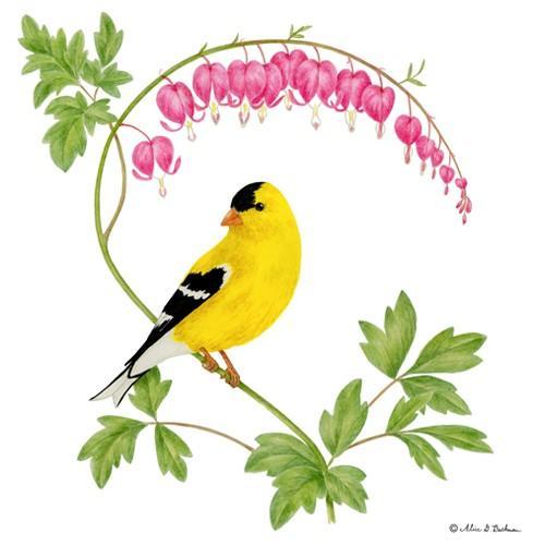Flour Sack Towel Set | Goldfinch Flour Sack Towel Set | Goldfinch