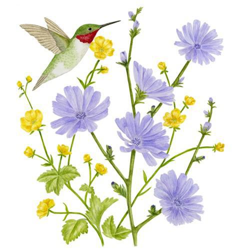 Flour Sack Towel Set | Periwinkle & Hummingbird