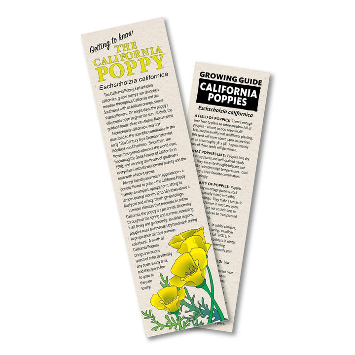 Flower Seed Grow Kit | California Poppy Flower Seed Grow Kit | California Poppy
