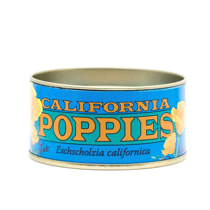 Flower Seed Grow Kit | California Poppy Flower Seed Grow Kit | California Poppy
