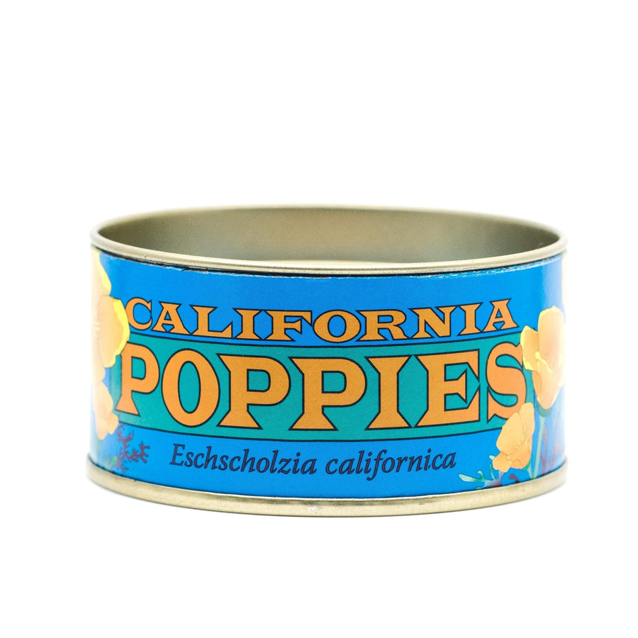 Flower Seed Grow Kit | California Poppy Flower Seed Grow Kit | California Poppy