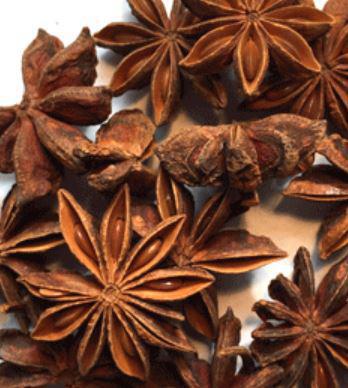 Golden Gait Mercantile Spice | Star Anise