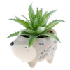 Animal Shaped Succulent Pot Hedgehog