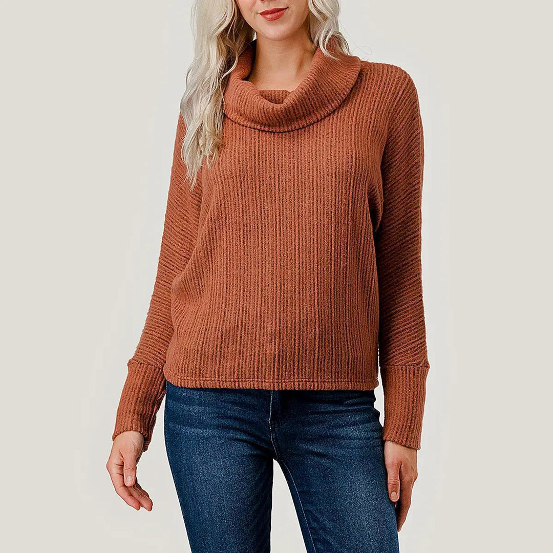 Heimious Turtle Cowl Neck Long Dolman Sleeve Top Heimious Turtle Cowl Neck Long Dolman Sleeve Top