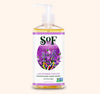 South of France Liquid Hand Soap Lavender Fields