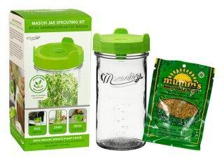 Mason Tops Mason Jar Sprouting Kit Mason Tops Mason Jar Sprouting Kit