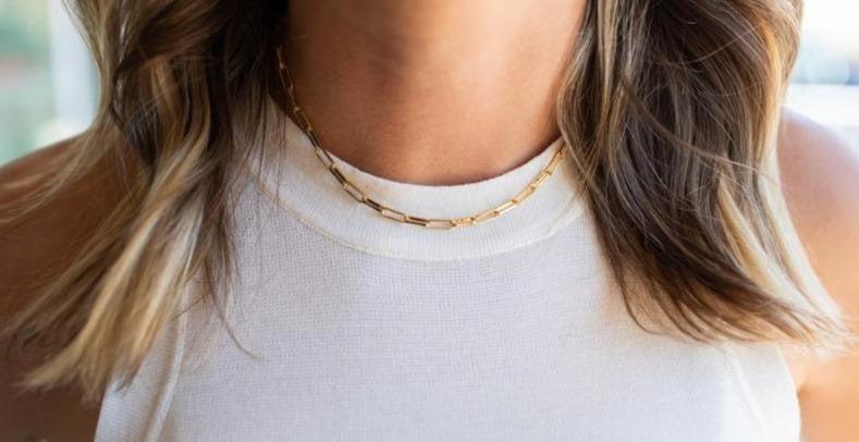 Meghan Bo Link Choker Necklace