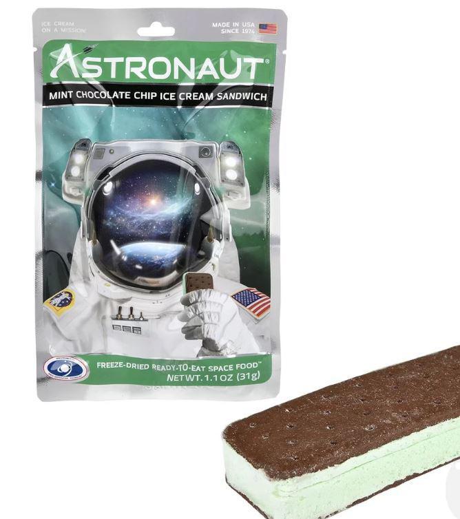 Astronaut Food Mint Ice Cream Sandwich