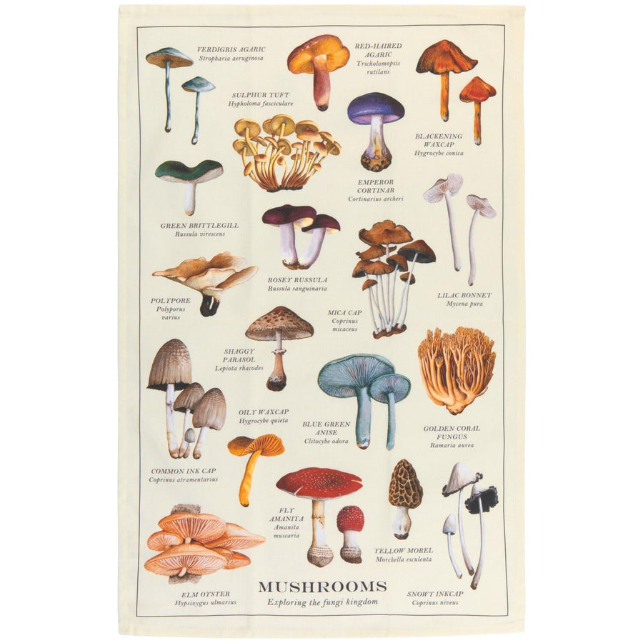 Mushrooms Fine Print Dishtowel Mushrooms Fine Print Dishtowel