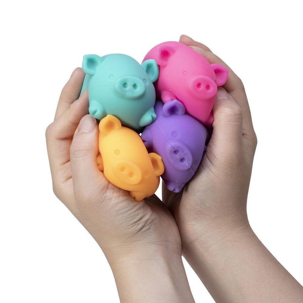 NeeDoh Dig It Pig Fidget Toy NeeDoh Dig It Pig Fidget Toy