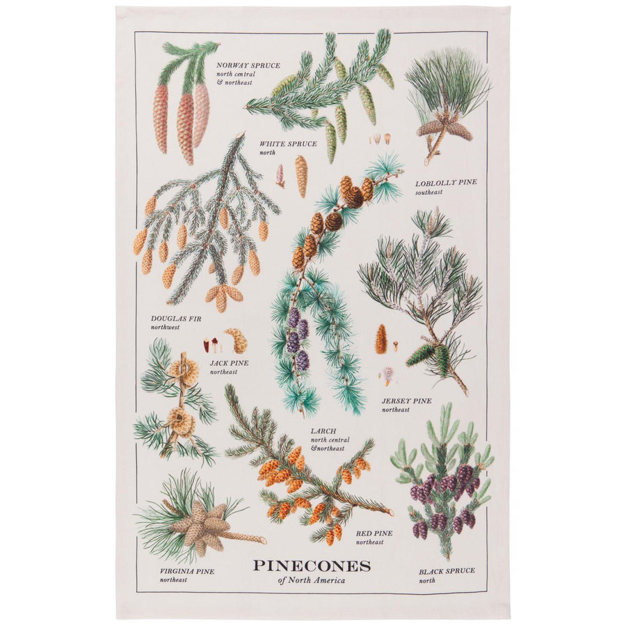 Pinecones Dishtowel Pinecones Dishtowel