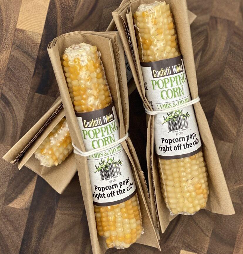 Popping Corn Cob | Confetti White Popping Corn Cob | Confetti White