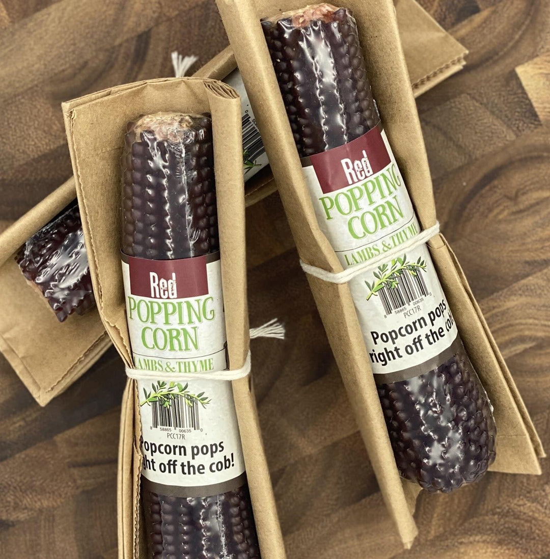 Popping Corn Cob | Red Popping Corn Cob | Red
