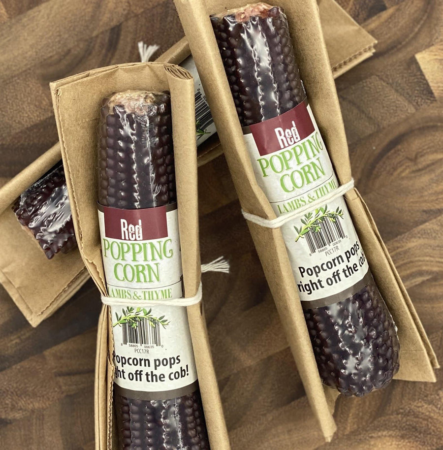 Popping Corn Cob | Red Popping Corn Cob | Red