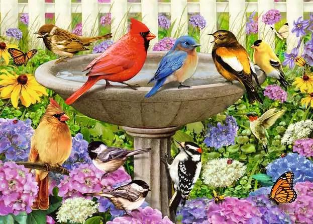 Ravensburger Jigsaw Puzzle | At the Birdbath – 500 Pieces Ravensburger Jigsaw Puzzle | At the Birdbath – 500 Pieces