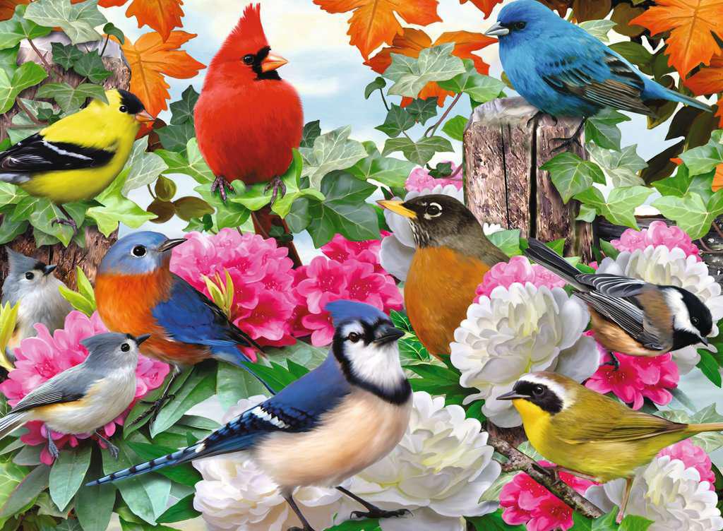 Ravensburger Jigsaw Puzzle | Garden Birds 500 Piece