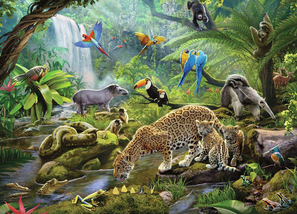 Ravensburger Jigsaw Puzzle | Rainforest Animals