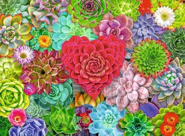 Ravensburger Jigsaw Puzzle | Succulent Love - 500 Pieces Puzzle Ravensburger Jigsaw Puzzle | Succulent Love - 500 Pieces Puzzle