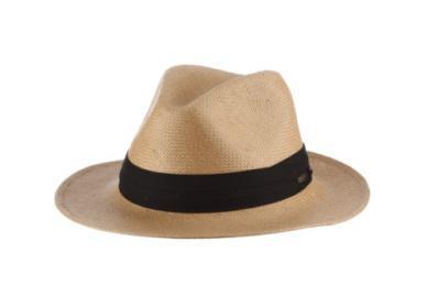 Sausalito Toyo Safari Hat | Putty