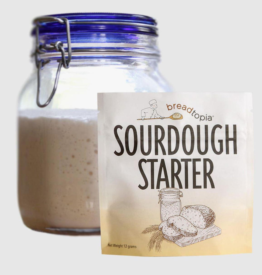 Sourdough Starter