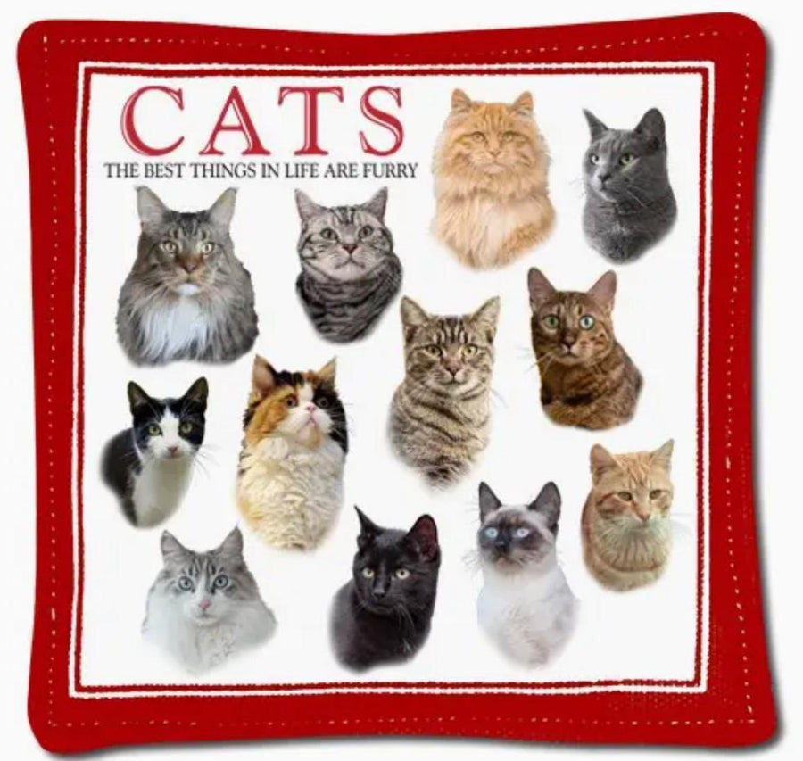 Spiced Mug Mat | Cats Spiced Mug Mat | Cats