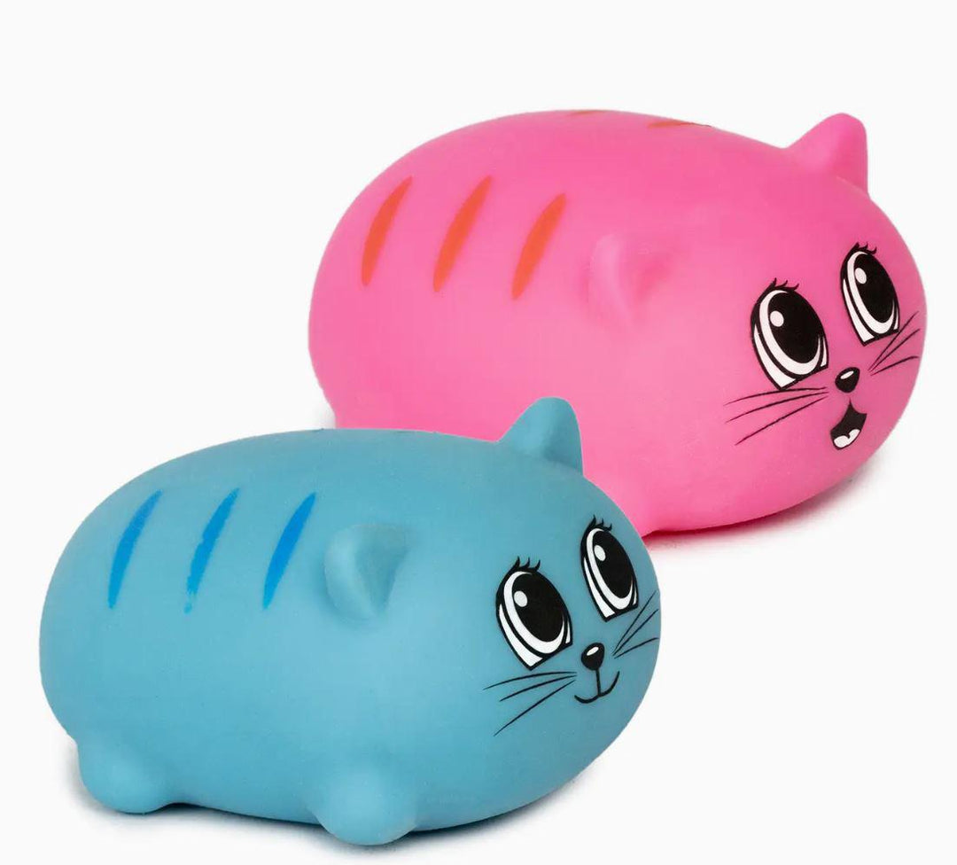 Squidgy Cat