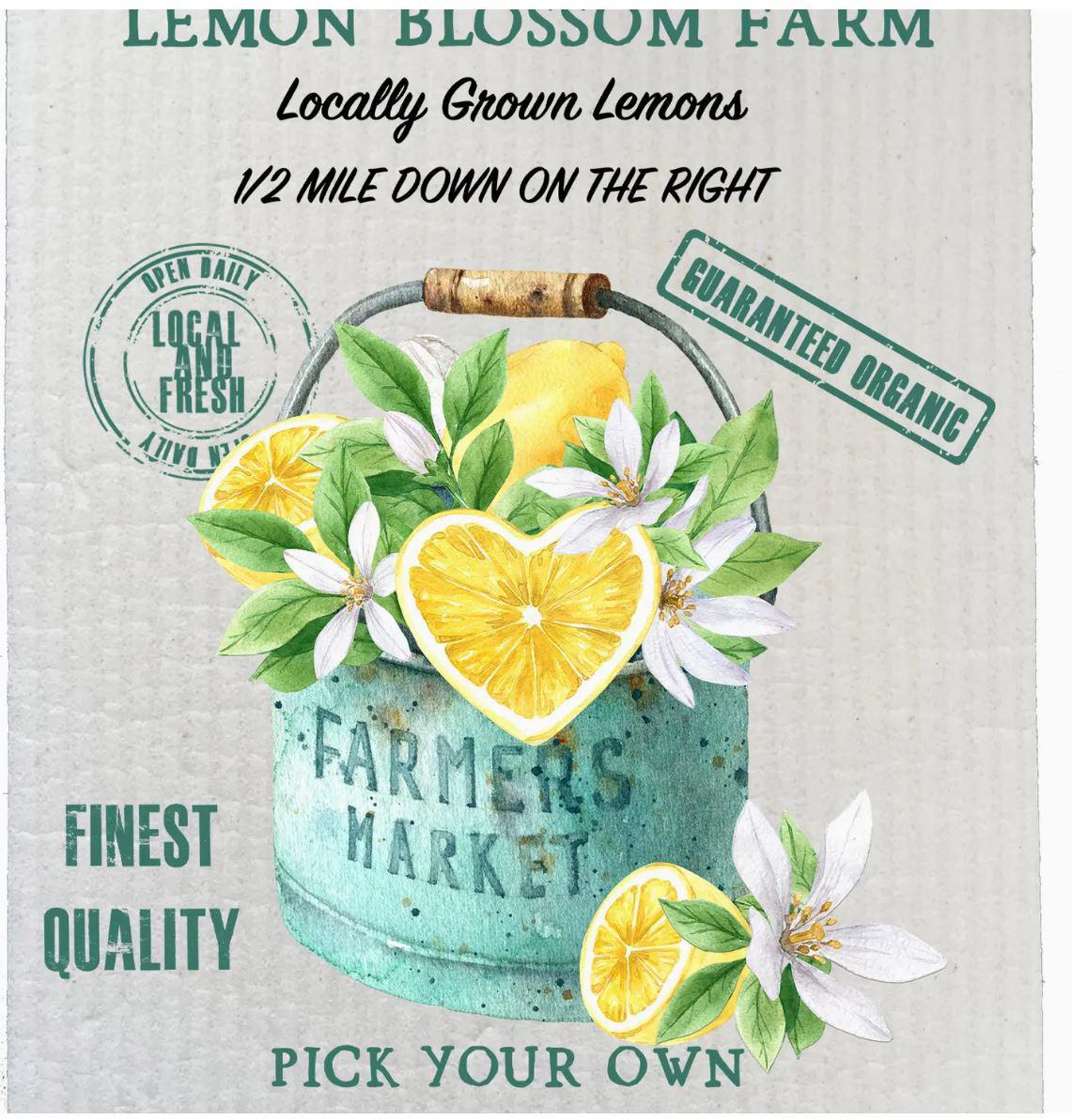 Swedish Sponge Dish Cloth | Farmers Market Lemon Blossoms