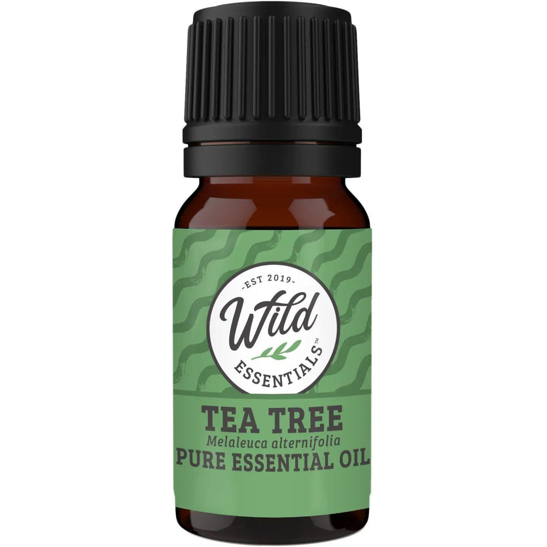 Wild Essentials Essential Oil Tea Tree Wild Essentials Essential Oil