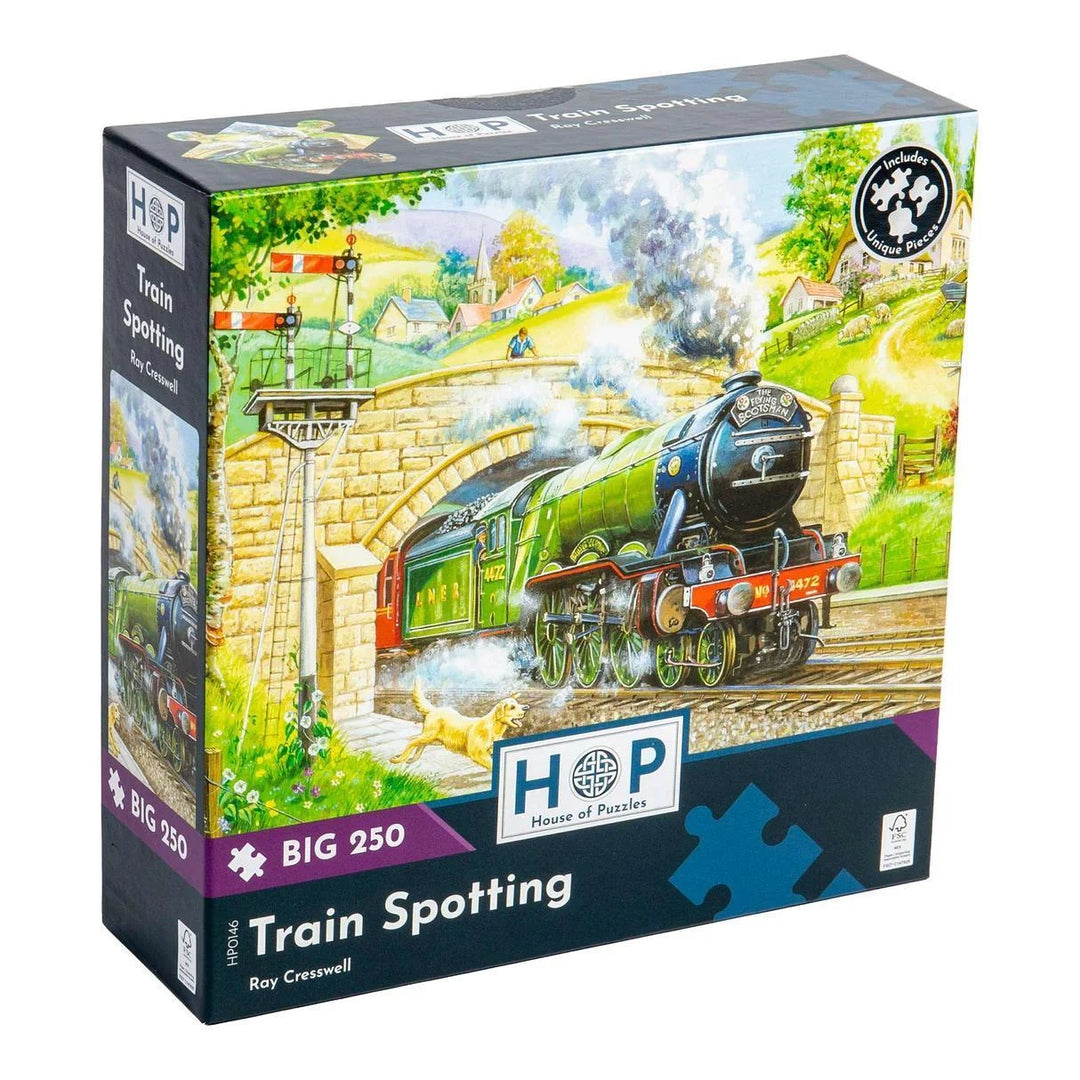 The House of Puzzles Train Spotting - BIG 250 Piece Jigsaw Puzzle The House of Puzzles Train Spotting - BIG 250 Piece Jigsaw Puzzle