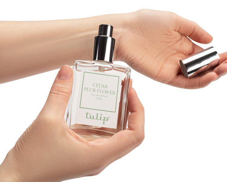 Tulip Eau De Parfum | Cedar Plum Flower Tulip Eau De Parfum | Cedar Plum Flower