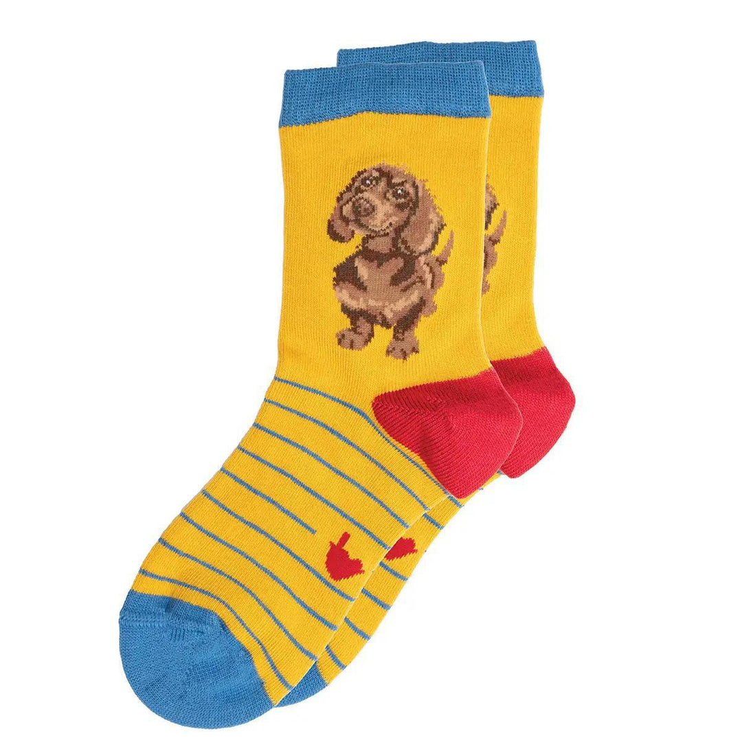 Wrendale Children's Socks | Dachshund Wrendale Children's Socks | Dachshund