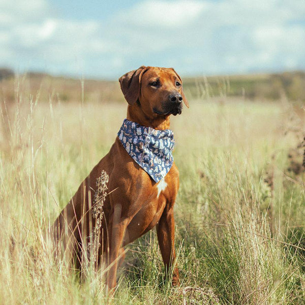 Wrendale Designs Dog Bandana