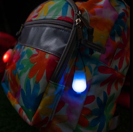 Zip Brightz Light Up Zipper Pull