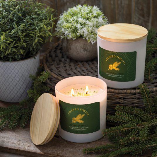 Artisan Candle | Frosted Forest