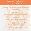 Artisan Wax Melts | Citrus Grove