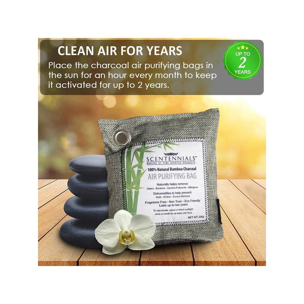 Bamboo Charcoal Air Purifying Bag