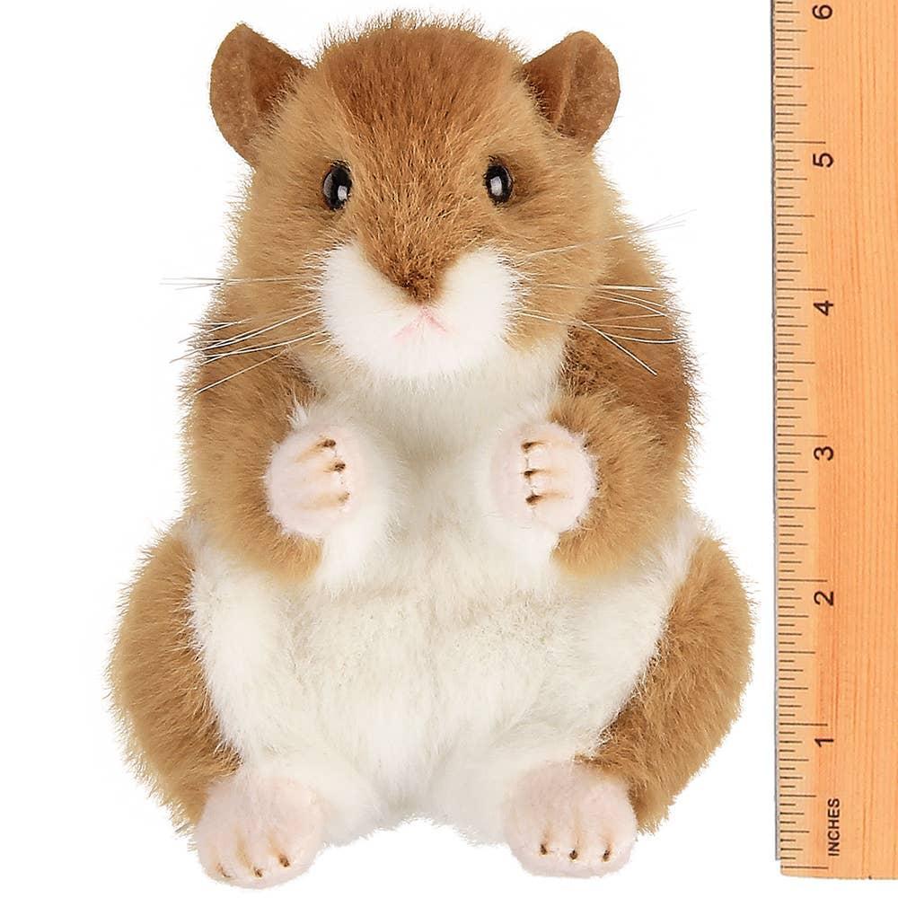 Hamster (Teddy Bear) For Sale - Pet City Houston