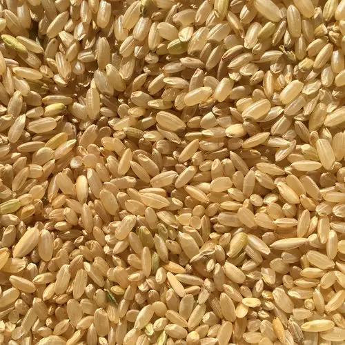 Chico Rice | Organic Brown