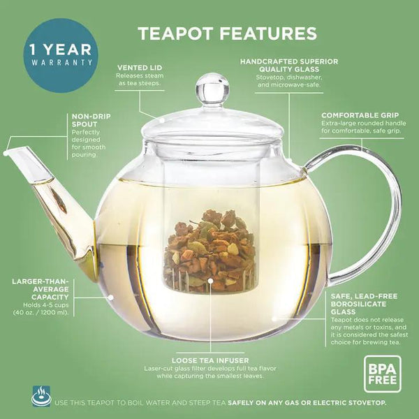 Clear Glass Teapot & Infuser