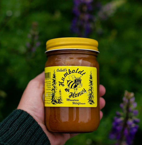 Collett's Humboldt Honey | Mountain Wildflower