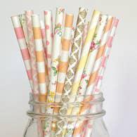 Colorful Paper Straws