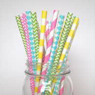 Colorful Paper Straws