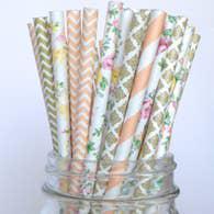 Colorful Paper Straws Cora