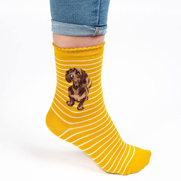 Dachshund "Little One" Socks by Wrendale