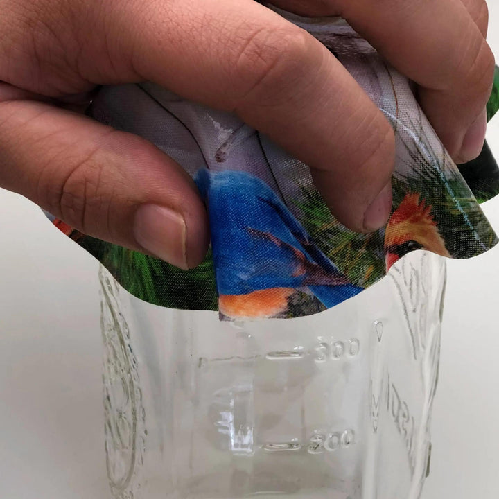 Decorative Silicone  Jar Opener | Bird House