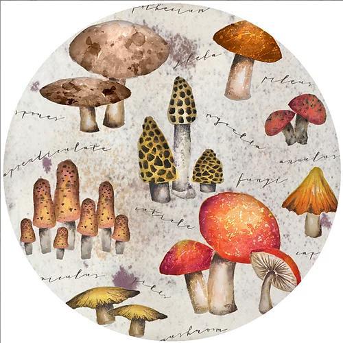 Decorative Silicone  Jar Opener | Mystical Mushrooms